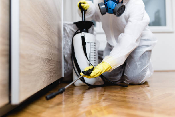 Best Affordable Pest Control Services  in Waukegan, IL