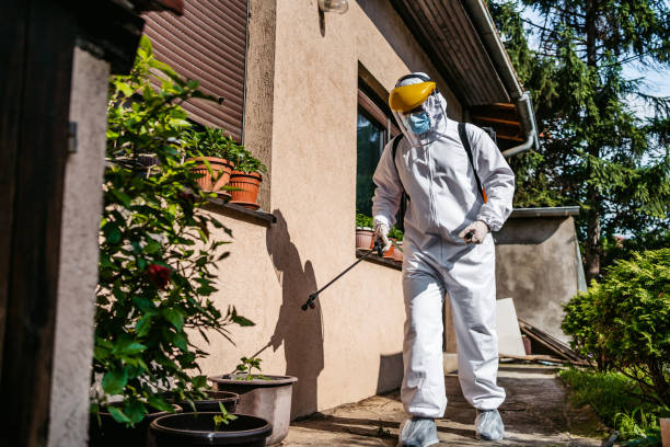 Best Best Pest Control Companies  in Waukegan, IL