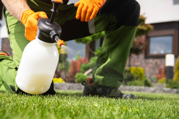 Best Wasp Removal Services  in Waukegan, IL