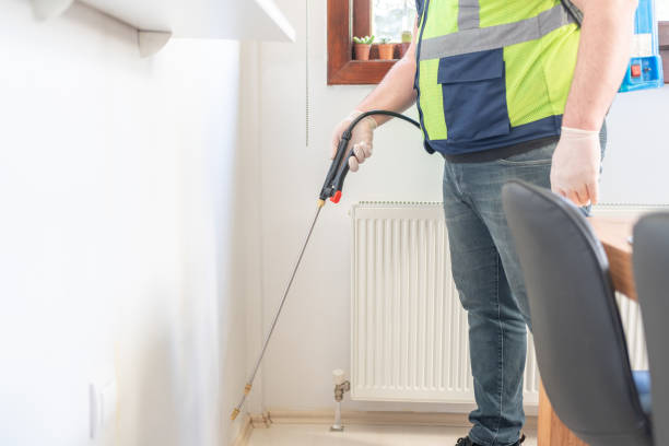 Best Flea Control Services  in Waukegan, IL