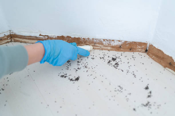 Waukegan, IL Pest Control Company